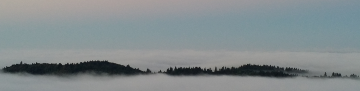 Fog Island