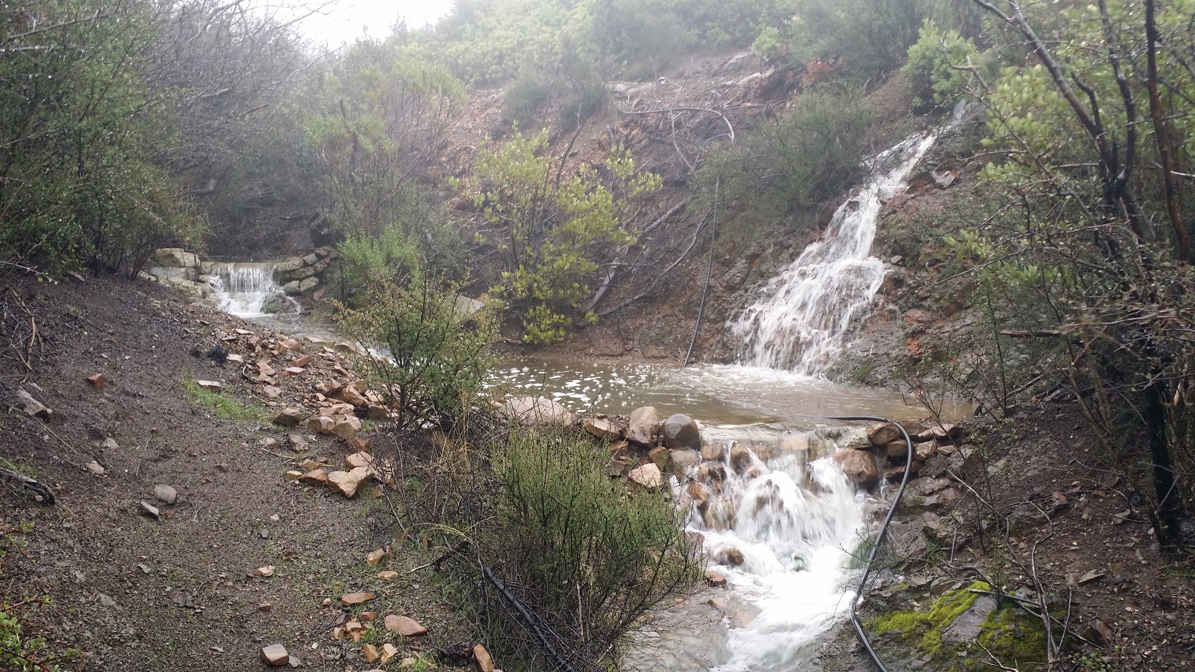 Foggy Stream